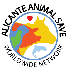 CHARLA ANTIESPECISTA POR PARTE DE LA ORGANIZACIÓN ALICANTE ANIMAL SAVE